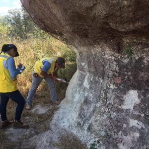 IMG-20190225-WA0038 IMG-20190225-WA0038