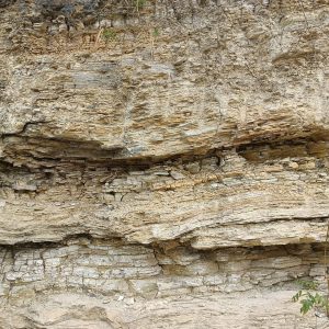 WhatsApp Image 2024-05-28 at 3.54.31 PM WhatsApp Image 2024-05-28 at 3.54.31 PM